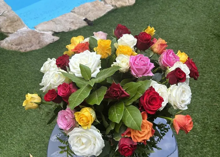 Le Phillipe Lebel 4* Villeneuve-lès-Avignon