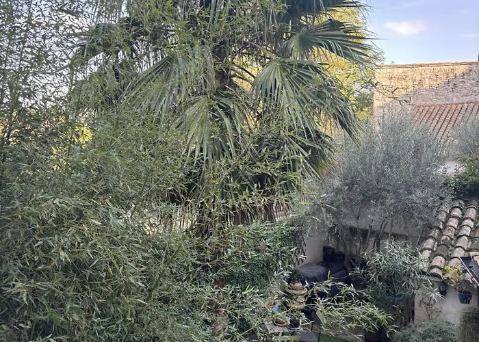 Particulier D'hote Le Philippe-le-bel