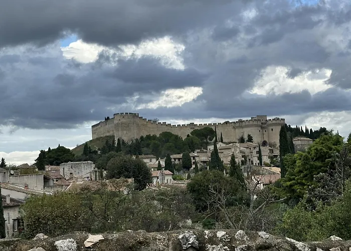 Gasthuis Particulier D'hote Le Philippe-le-bel Villeneuve-lès-Avignon